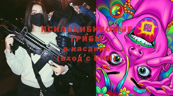 бошки Домодедово