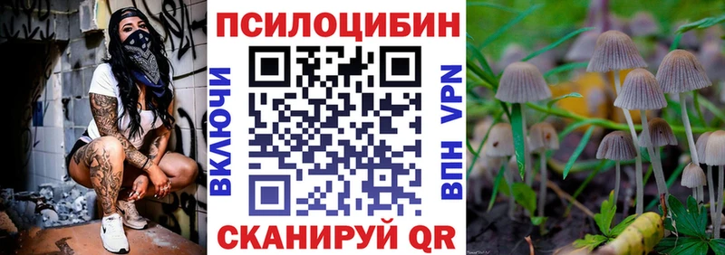 Псилоцибиновые грибы GOLDEN TEACHER  где купить наркотик  Завитинск 